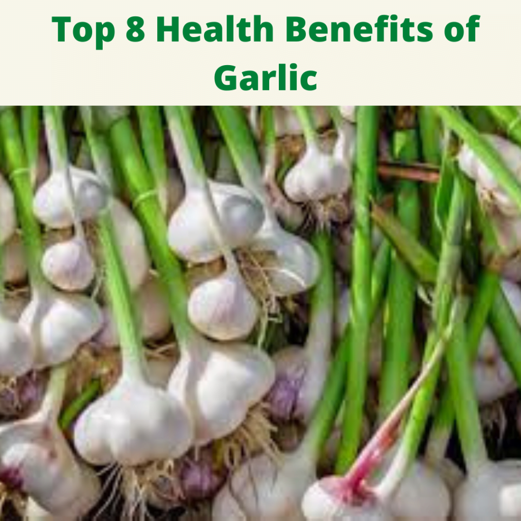 Top 8 Health Benefits Of Garlic Nirahealthy