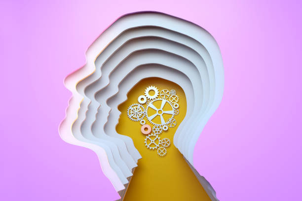 Brain development