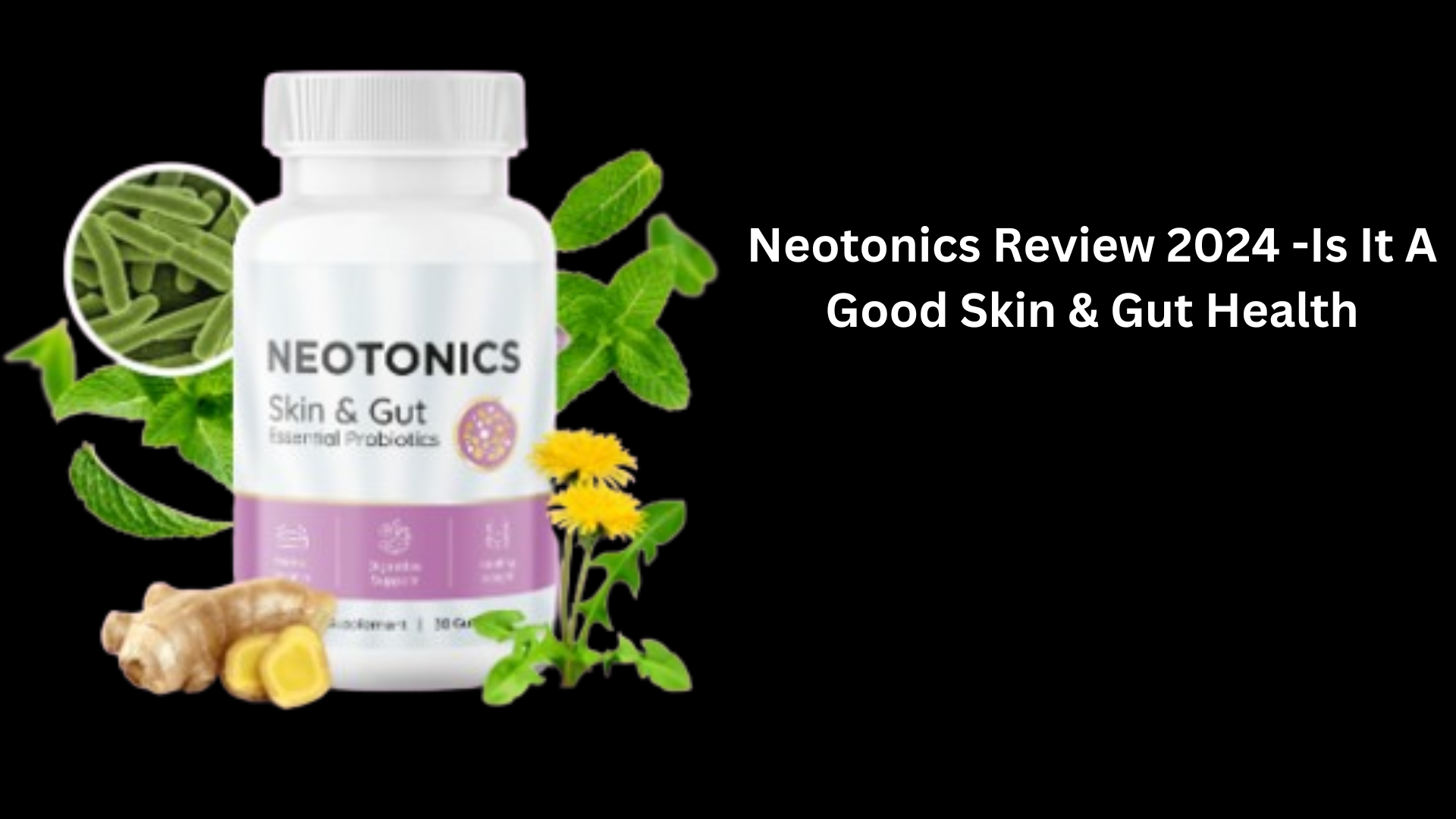 Neotonics Review 2024 -Is It A Good Skin & Gut Health (Customer Report