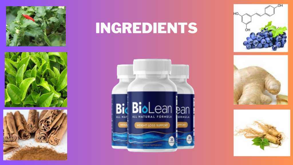 BioLean Ingredients