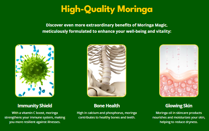 High quality moringa