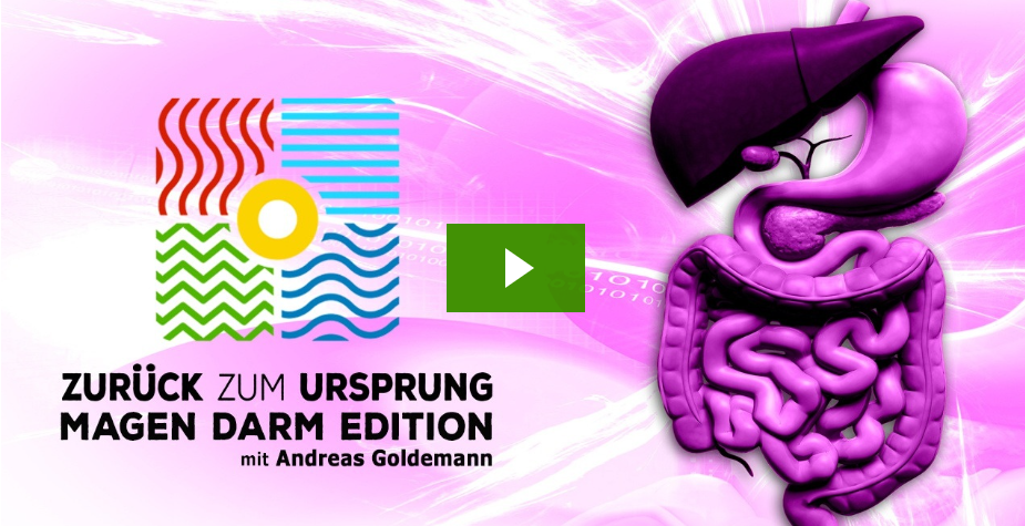 Back to the Origins 2024: A Deep Dive into Gastrointestinal Health