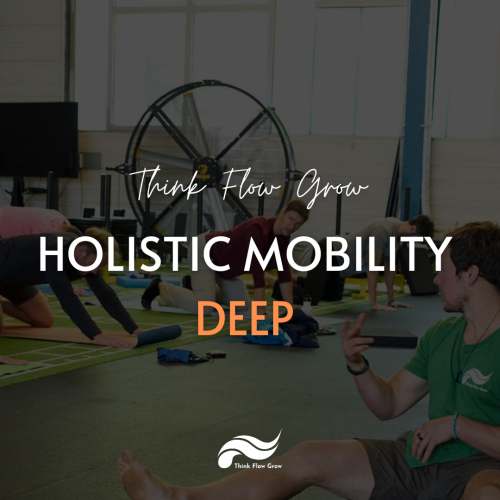 Holistic Mobility DEEP