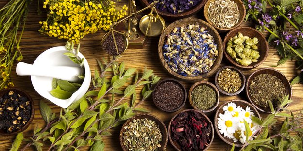 10 Natural Herbal Remedies from your garden