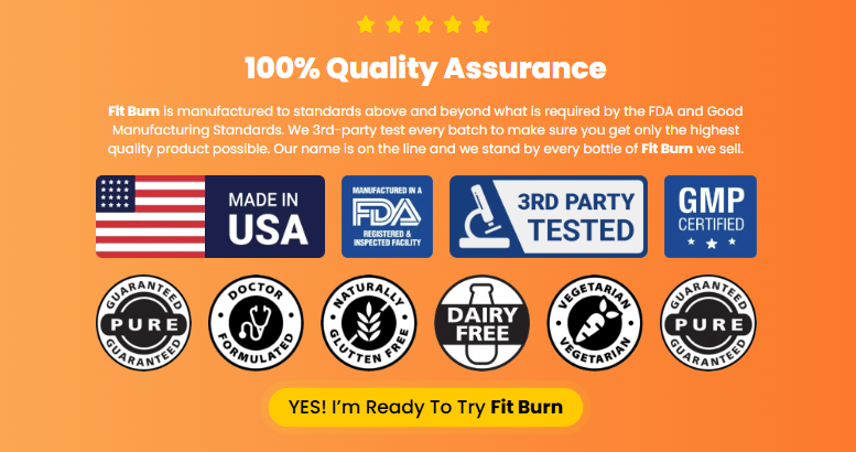 Fit Burn Review