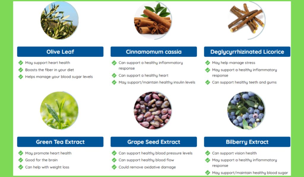 Key Ingredients