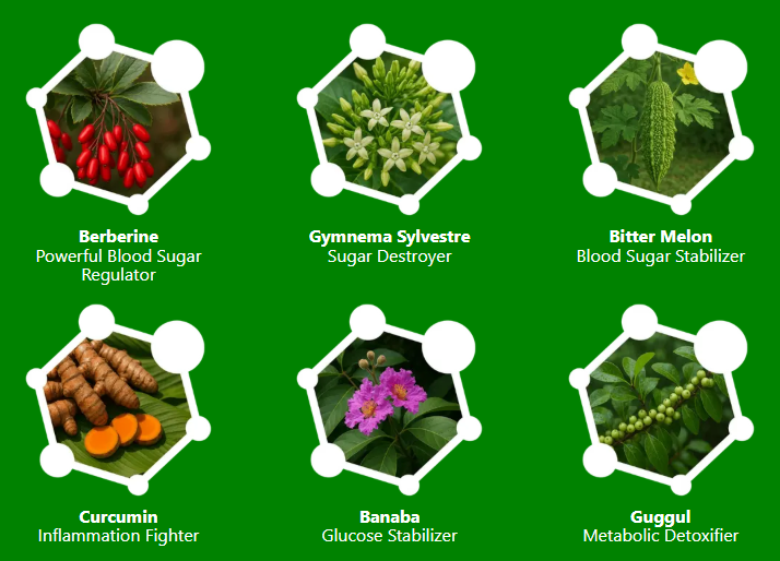 GlucoGen17