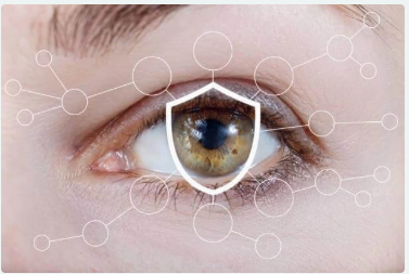 Sight Fresh Review