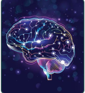 Synaptigen Review