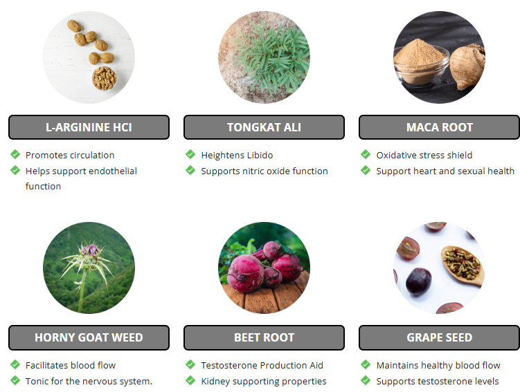 Key Ingredients in Vigorlong