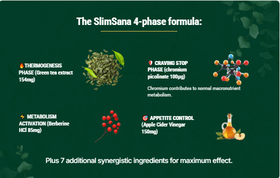 SlimSana 2026 Review