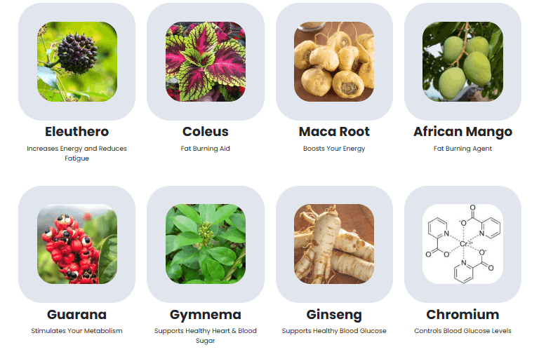 Sugar Defender Reviews