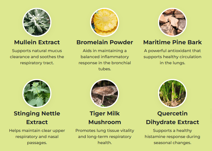 Pulmo Balance Review