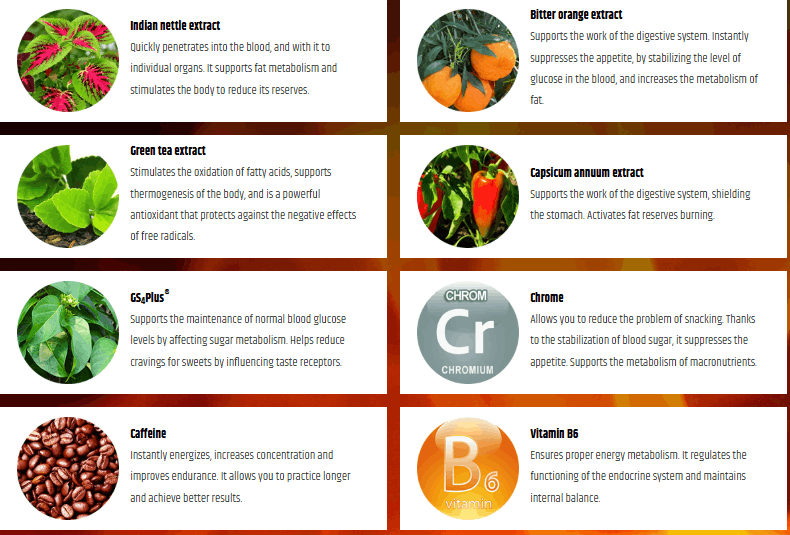 Fast Burn Extreme Review