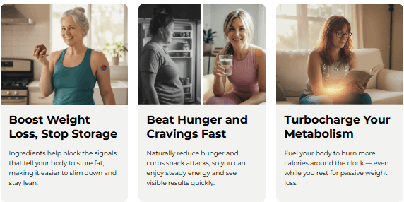 How Do Purisaki Berberine Patches Work?