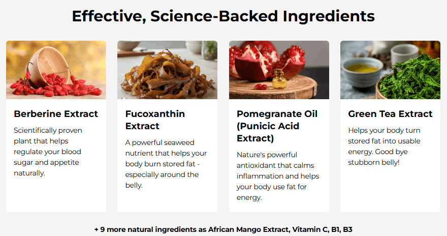 Purisaki Berberine Patches Ingredients