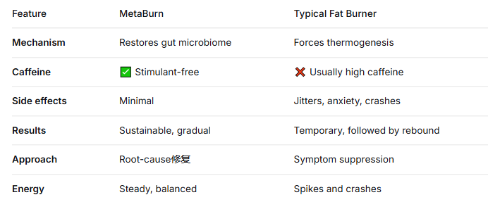 MetaBurn Review